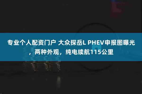 专业个人配资门户 大众探岳L PHEV申报图曝光，两种外观，纯电续航115公里