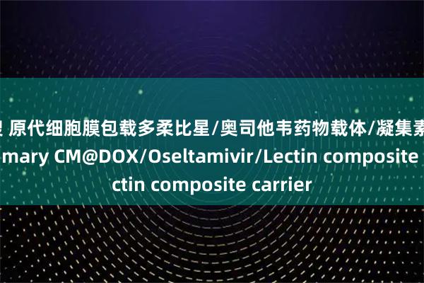 配资搜 原代细胞膜包载多柔比星/奥司他韦药物载体/凝集素/阿霉素，Primary CM@DOX/Oseltamivir/Lectin composite carrier